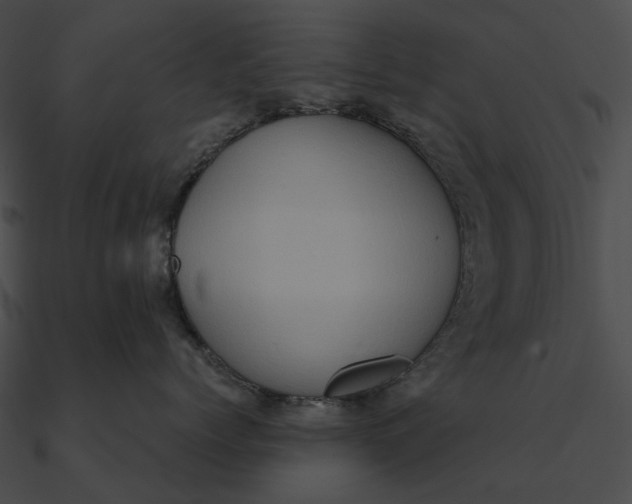 X0000090500768200708031209