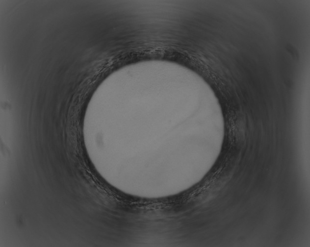 X0000090500769200708031208