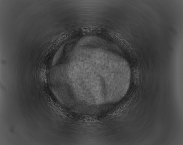 X0000090500770200708031208