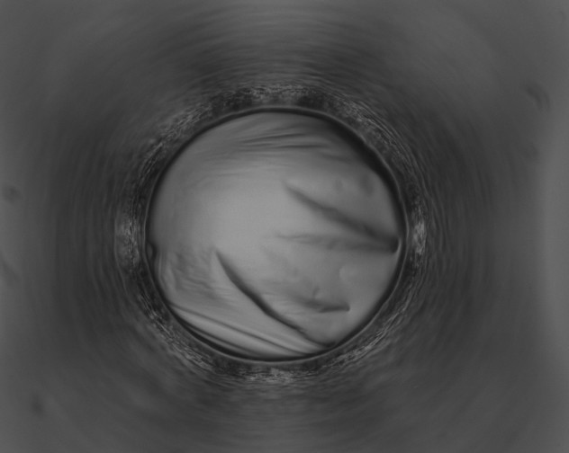 X0000090500772200708031208