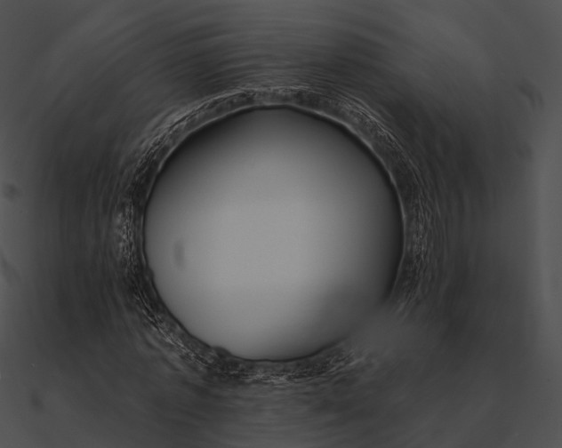 X0000090500773200708031208