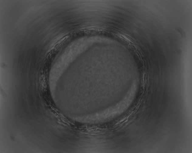 X0000090500774200708031208