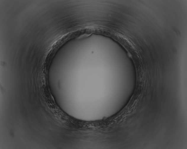 X0000090500776200708031208