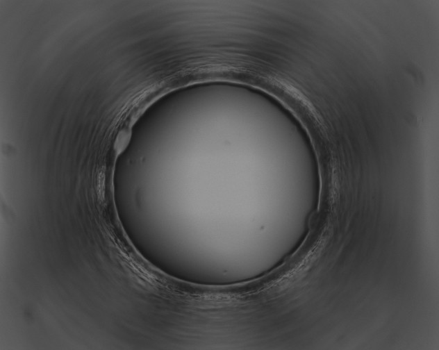 X0000090500777200708031208