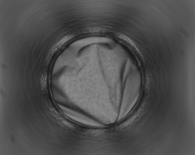 X0000090500778200708031208