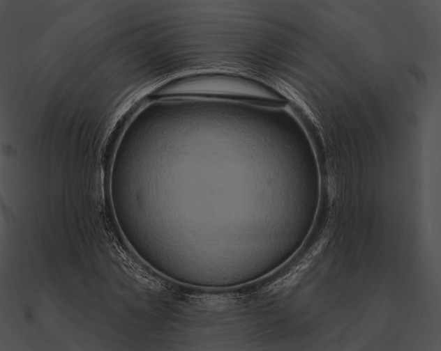 X0000090500781200708031208