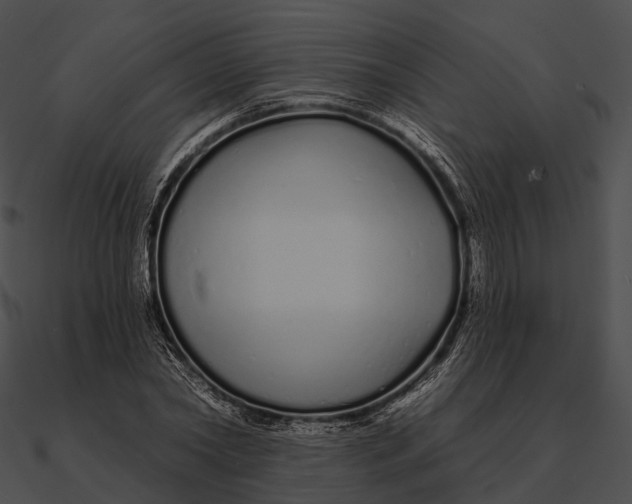 X0000090500782200708031208