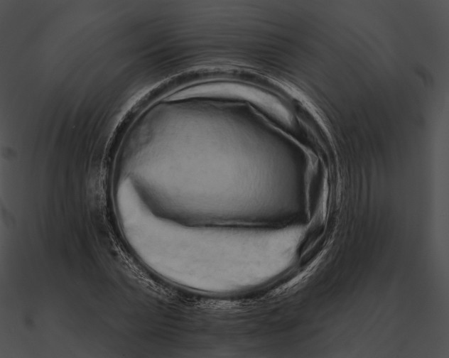 X0000090500783200708031208