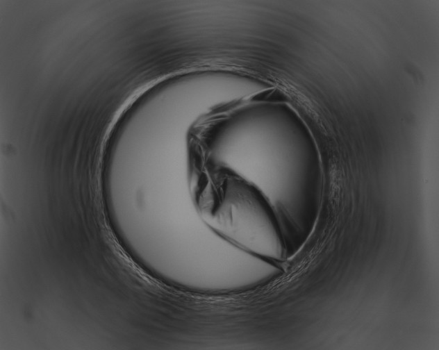 X0000090500784200708031208