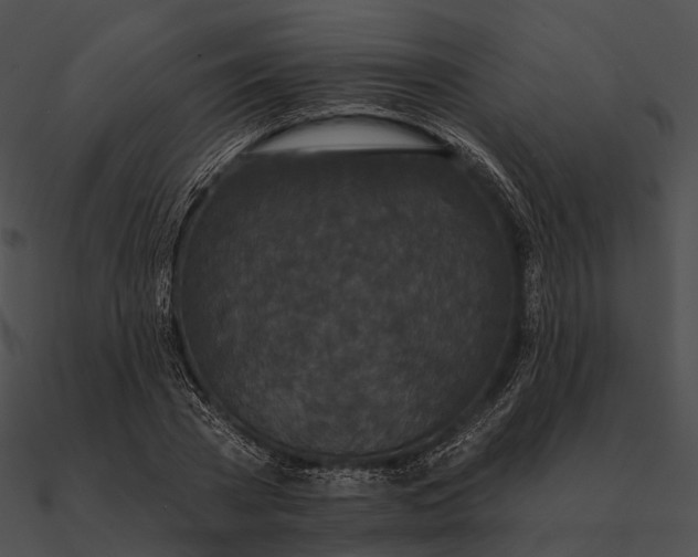 X0000090500785200708031208