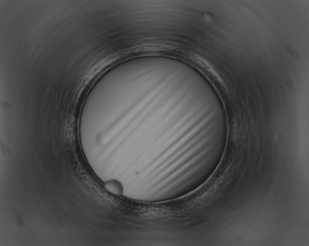 X0000090500786200708031208