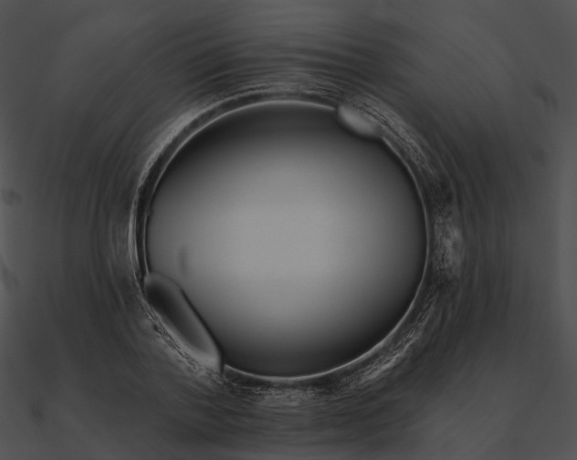 X0000090500788200708031208