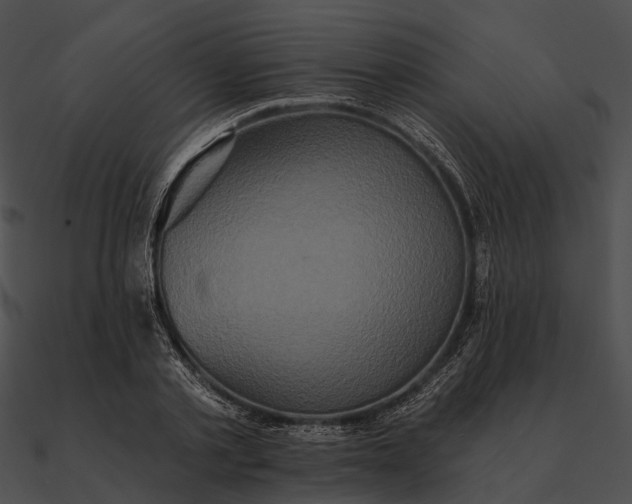 X0000090500789200708031208