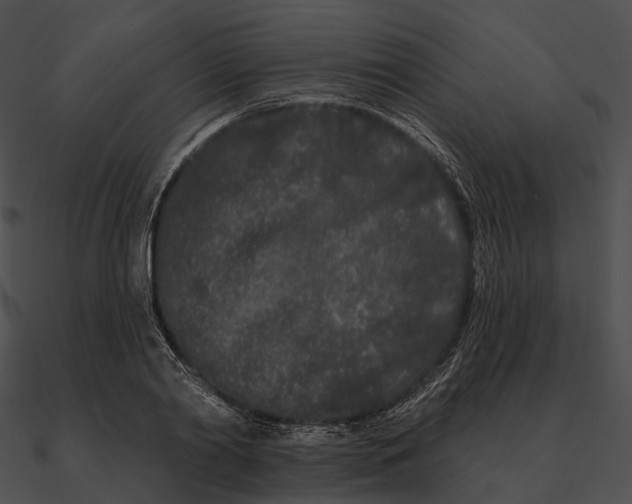 X0000090500790200708031208