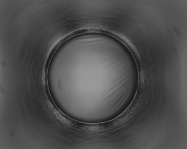 X0000090500791200708031208