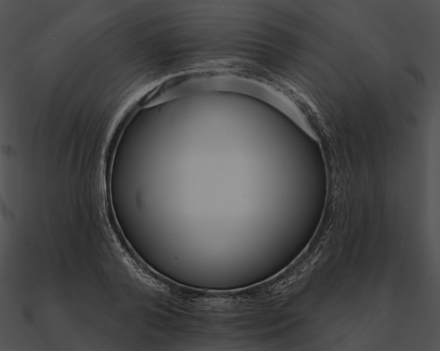 X0000090500792200708031208