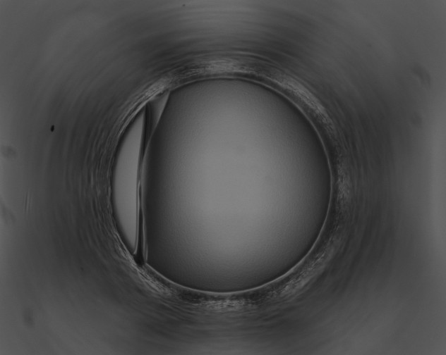 X0000090500793200708031208