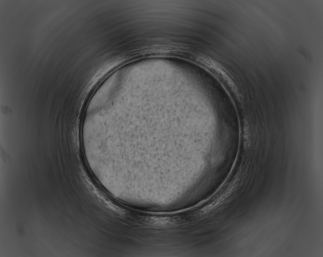 X0000090500794200708031208