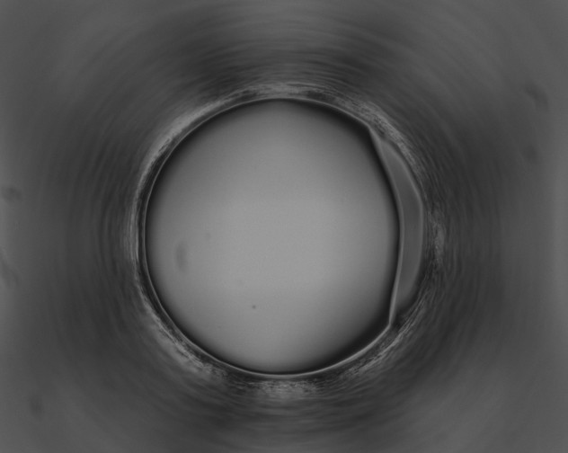 X0000090500795200708031208