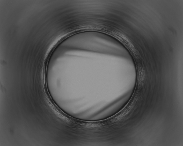 X0000090500796200708031208