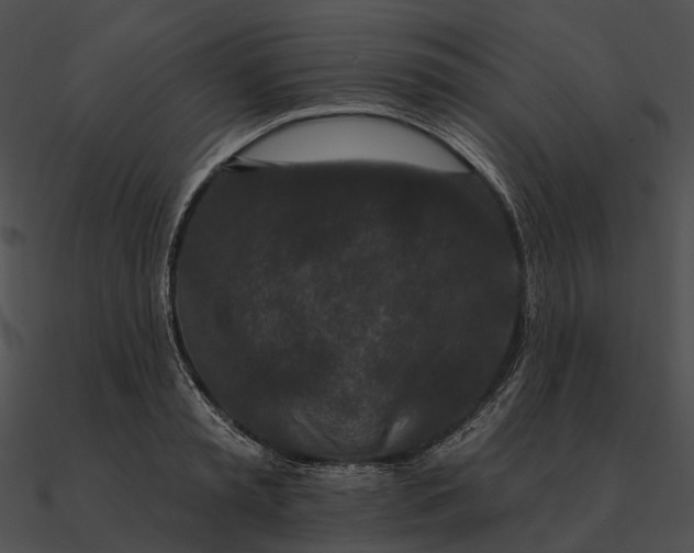 X0000090500797200708031208