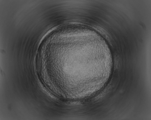 X0000090500798200708031208