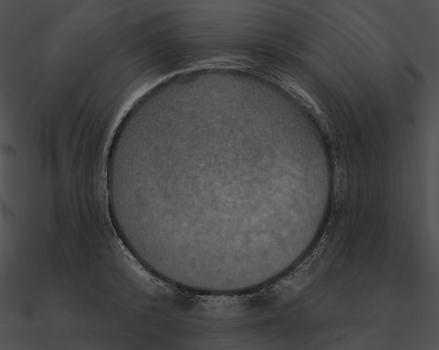 X0000090500800200708031208