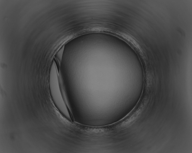 X0000090500801200708031208