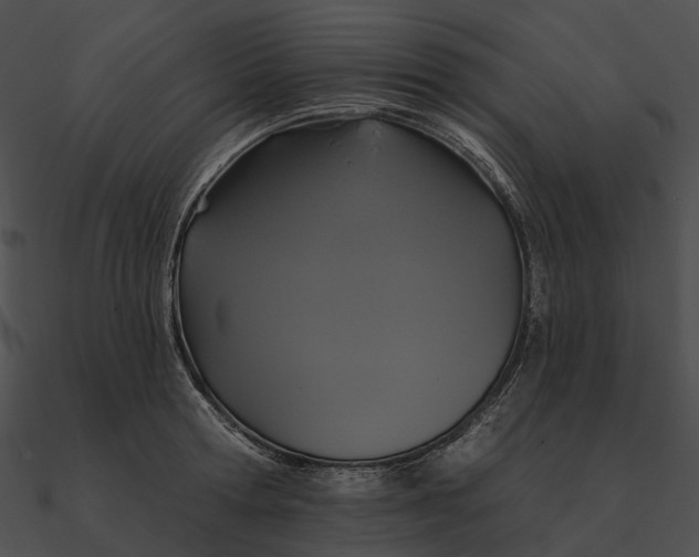 X0000090500802200708031208