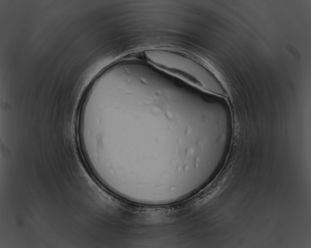 X0000090500803200708031208