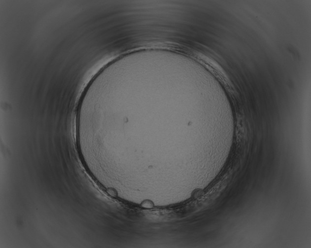 X0000090500804200708031208