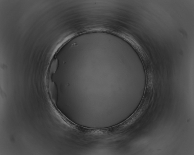 X0000090500806200708031208