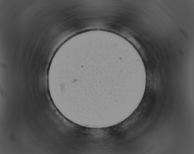 X0000090500807200708031208