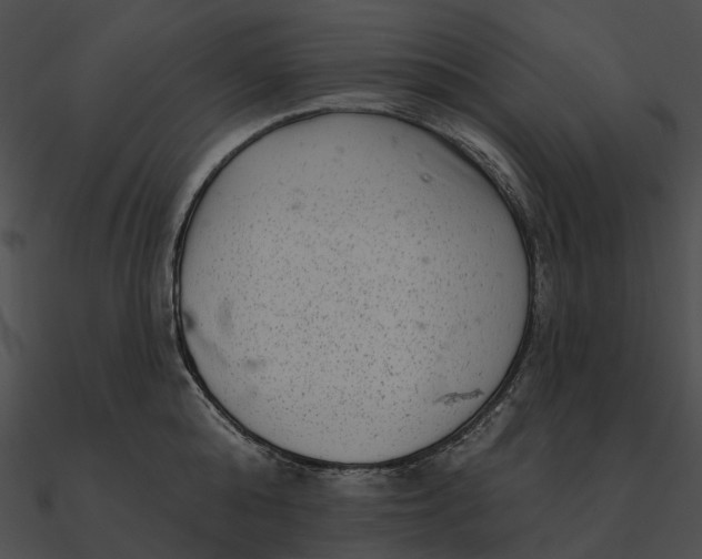 X0000090500808200708031208