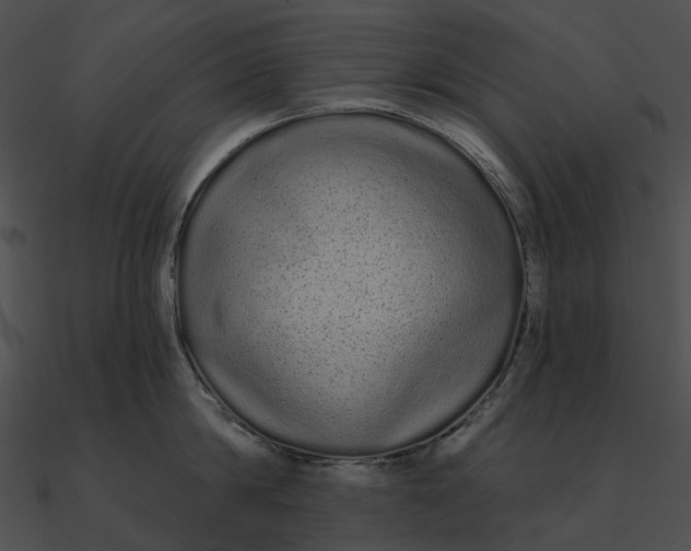 X0000090500814200708031208