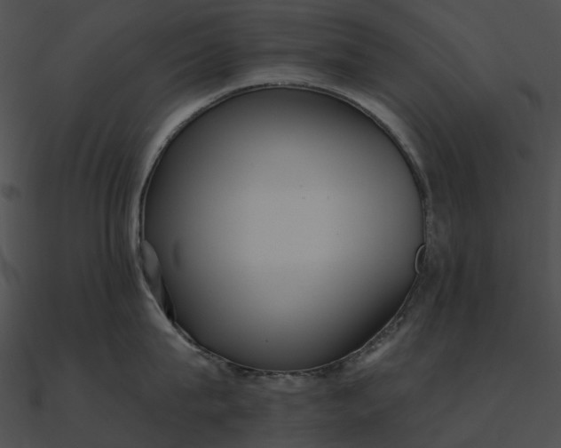 X0000090500815200708031208