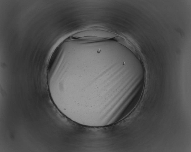 X0000090500816200708031208