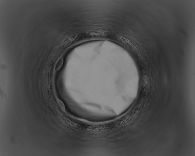 X0000090500817200708031207