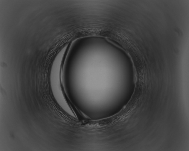 X0000090500818200708031207