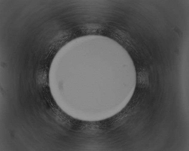 X0000090500820200708031207