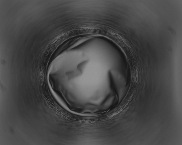 X0000090500821200708031207