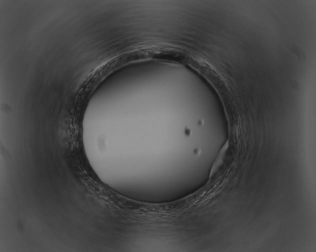 X0000090500822200708031207