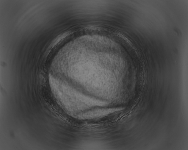 X0000090500823200708031207