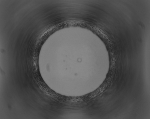 X0000090500824200708031207