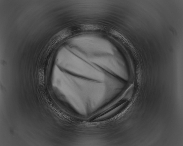 X0000090500825200708031207