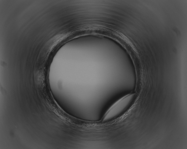 X0000090500826200708031207