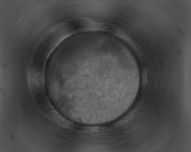 X0000090500828200708031207