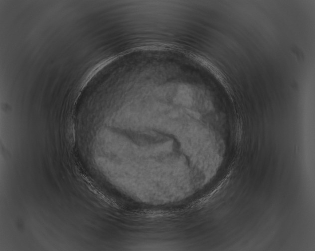 X0000090500829200708031207