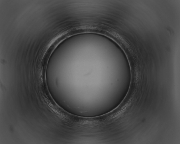 X0000090500830200708031207