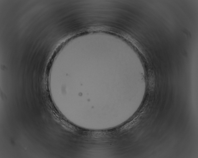 X0000090500832200708031207